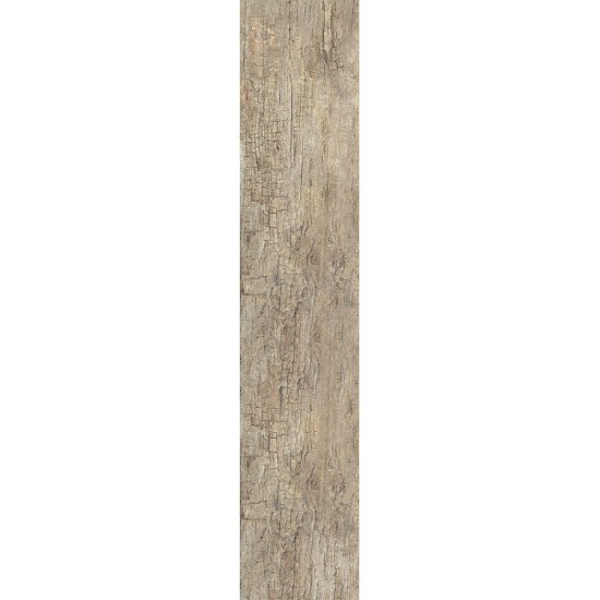 Corteccia Beige 20x120 - Disponibili: 41,76m²